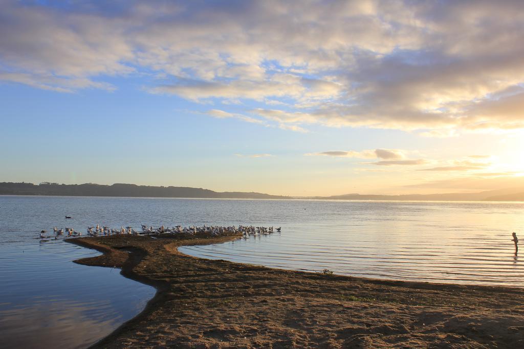 Lakeview Small Studio Rotorua Luaran gambar