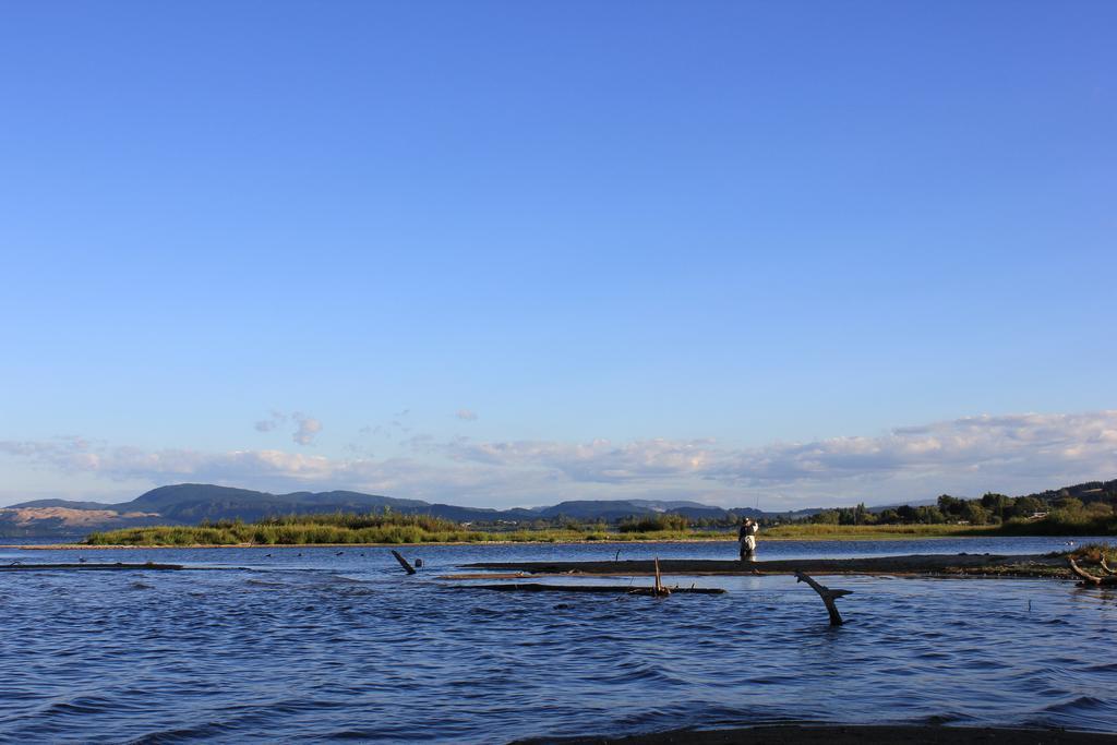 Lakeview Small Studio Rotorua Luaran gambar
