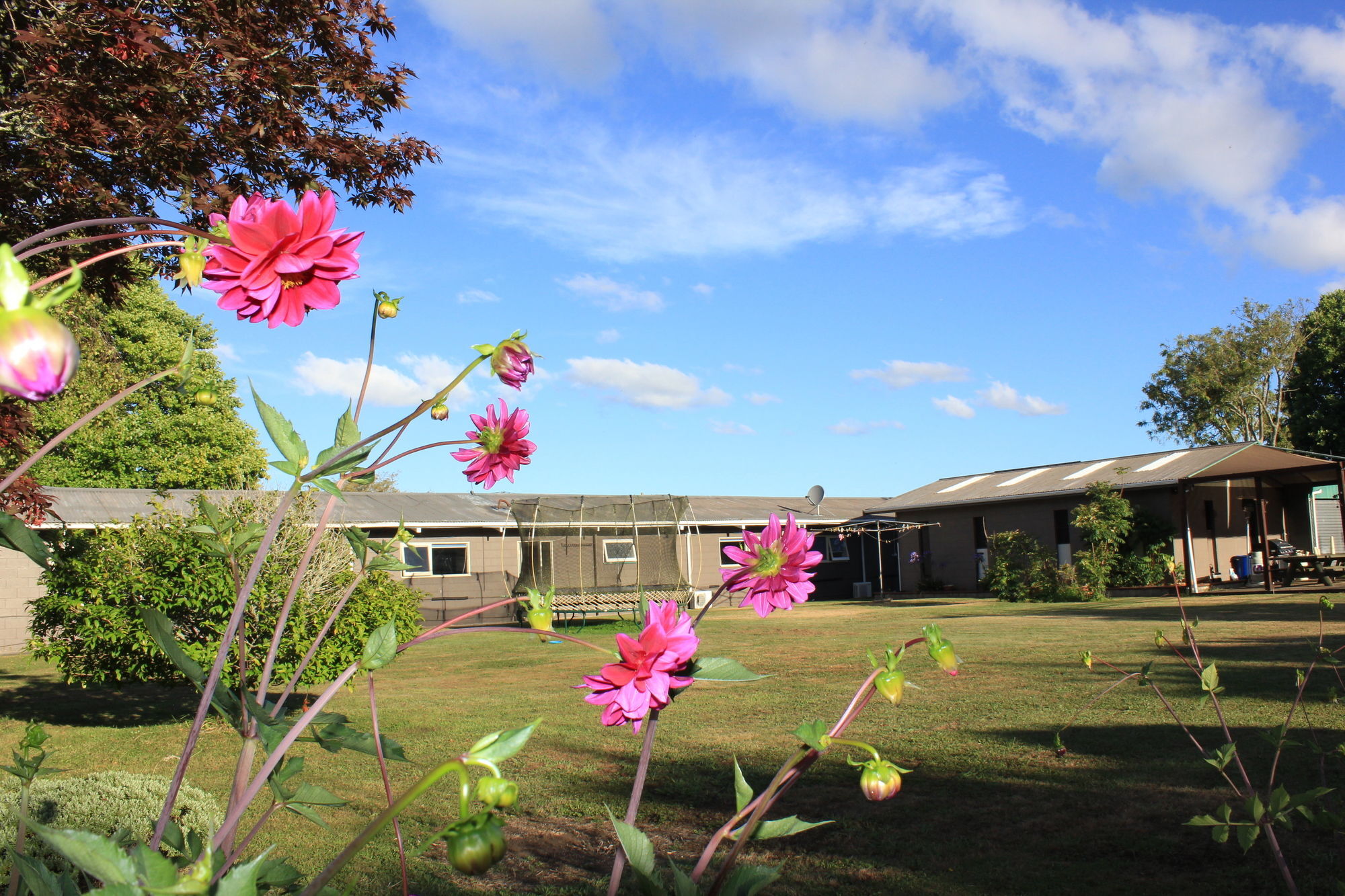Lakeview Small Studio Rotorua Luaran gambar