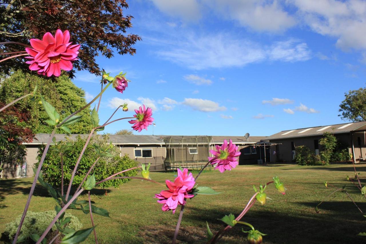 Lakeview Small Studio Rotorua Luaran gambar